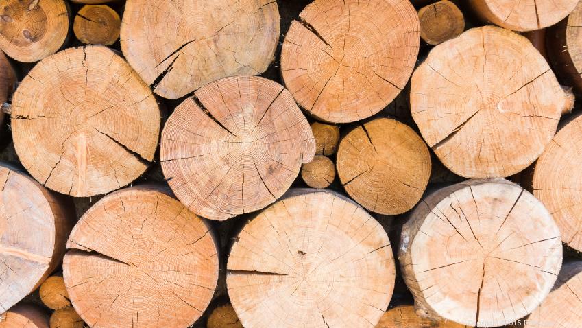 Alabama should harness the power of its timber - Birmingham Business ...