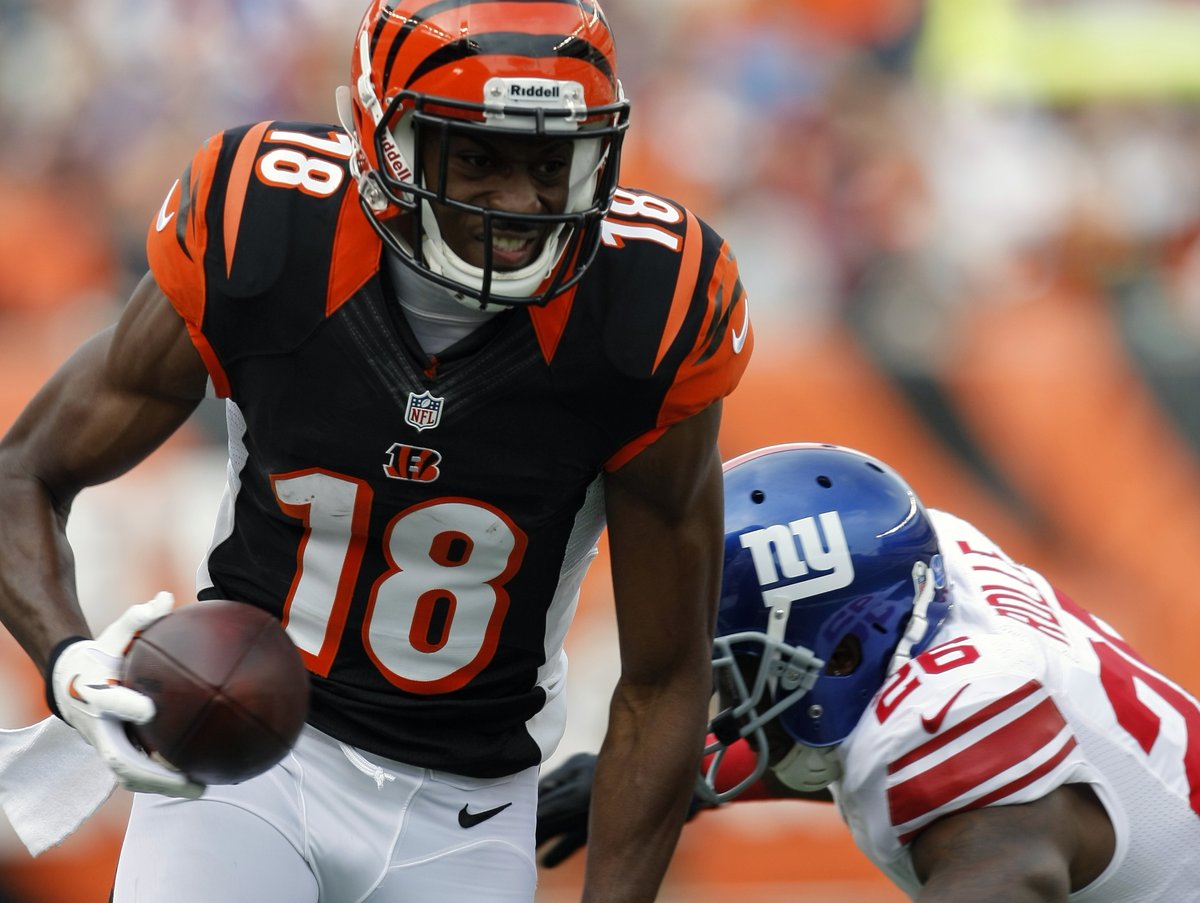 Here's how the Bengals fared at the turnstiles this season - Cincinnati  Business Courier