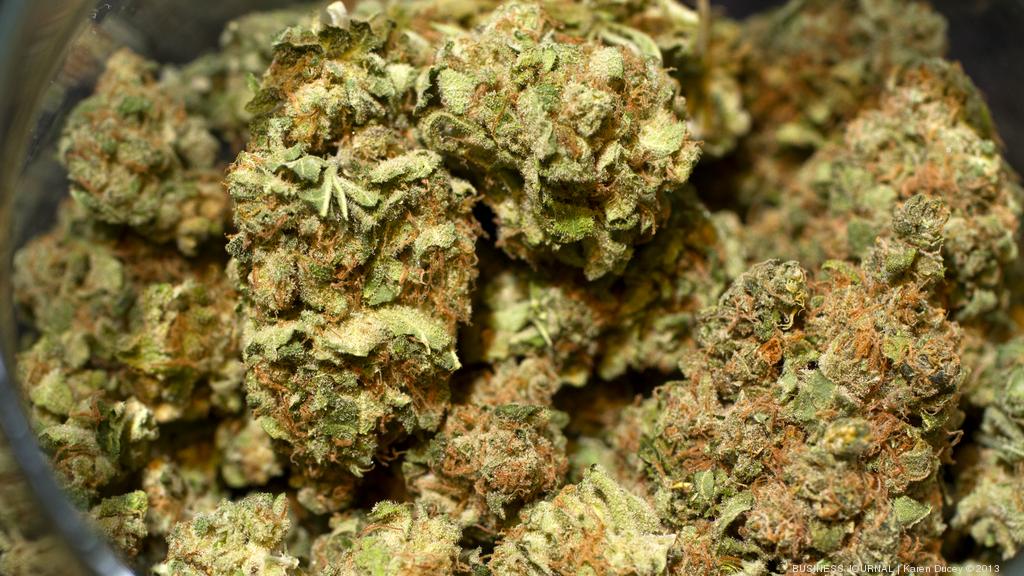 Florida Legislature to consider recreational marijuana legalization in 2021  - Orlando Business Journal