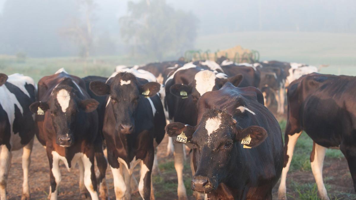 Land O'Lakes launching a dairystartup bootcamp (but not for butter