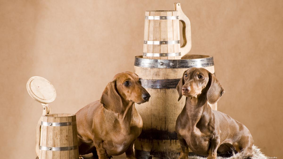 Dreaming Dog Brewery, Dueling Dogs Brewing Co. and Township Nine are