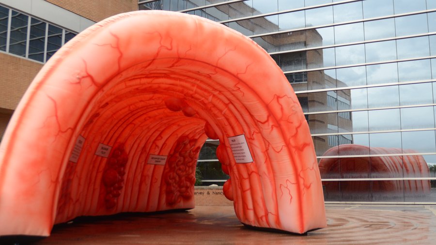 Small Inflatable Colon Colon9